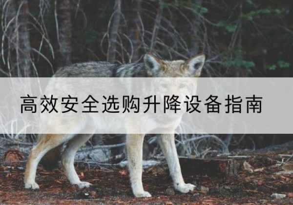沿河升降货梯厂家推荐-*安全选购升降设备指南