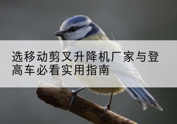 沿河电动升降机厂家-选移动剪叉升降机厂家与登高车必看实用指南