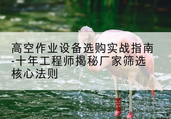 沿河剪叉式升降机厂家-高空作业设备选购实战指南-十年工程师揭秘厂家筛选核心法则